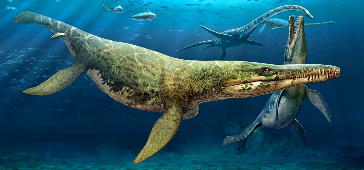 SIZING PLIOSAURS: MAKING "HEADS OR TAILS" OF IT - Kronos Rising