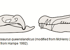 Kronosaurus queenslandicus and Kronosaurus boyacensis, killer cousins of the Cretaceous