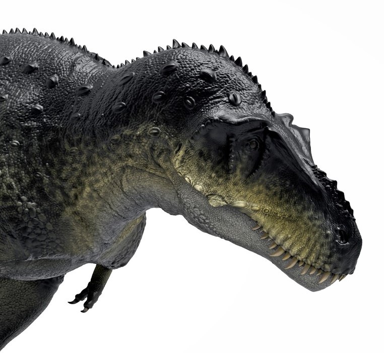 Sensitive T. rex? This new dino might change the face of